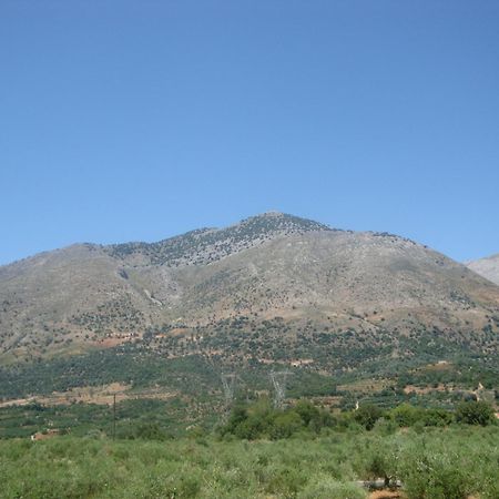 Lale'S House Βίλα Γαράζο Εξωτερικό φωτογραφία