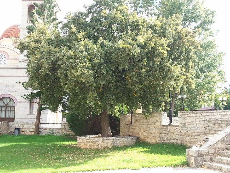 Lale'S House Βίλα Γαράζο Εξωτερικό φωτογραφία